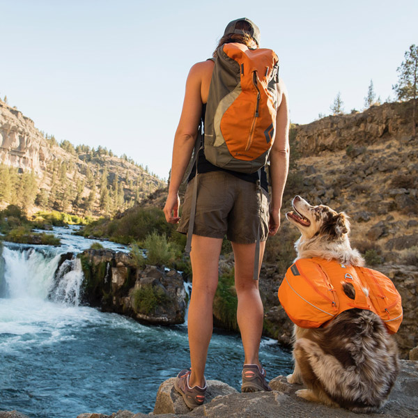 Die perfekte Ausrüstung für Outdoor Aktivitäten mit Ihrem Hund Blog