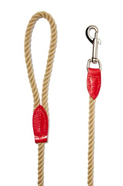 Wagwear Tauleine mit Lederbesatz