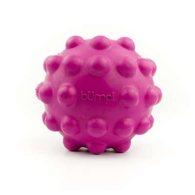 Hyper Pet Dura Squeaks Sphere Hundeball – Schwimmendes Apportierspielzeug Mit Quietscher, Aus EVA-Schaum (Neongrün)