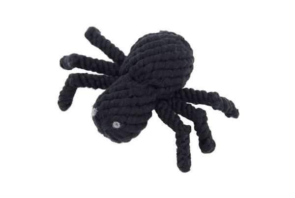 Jax & Bones Spike the Spider